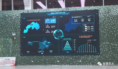蔬菜大棚變身智慧工廠 計算機軟硬件開發(fā)賦能現(xiàn)代農(nóng)業(yè)遠程管理